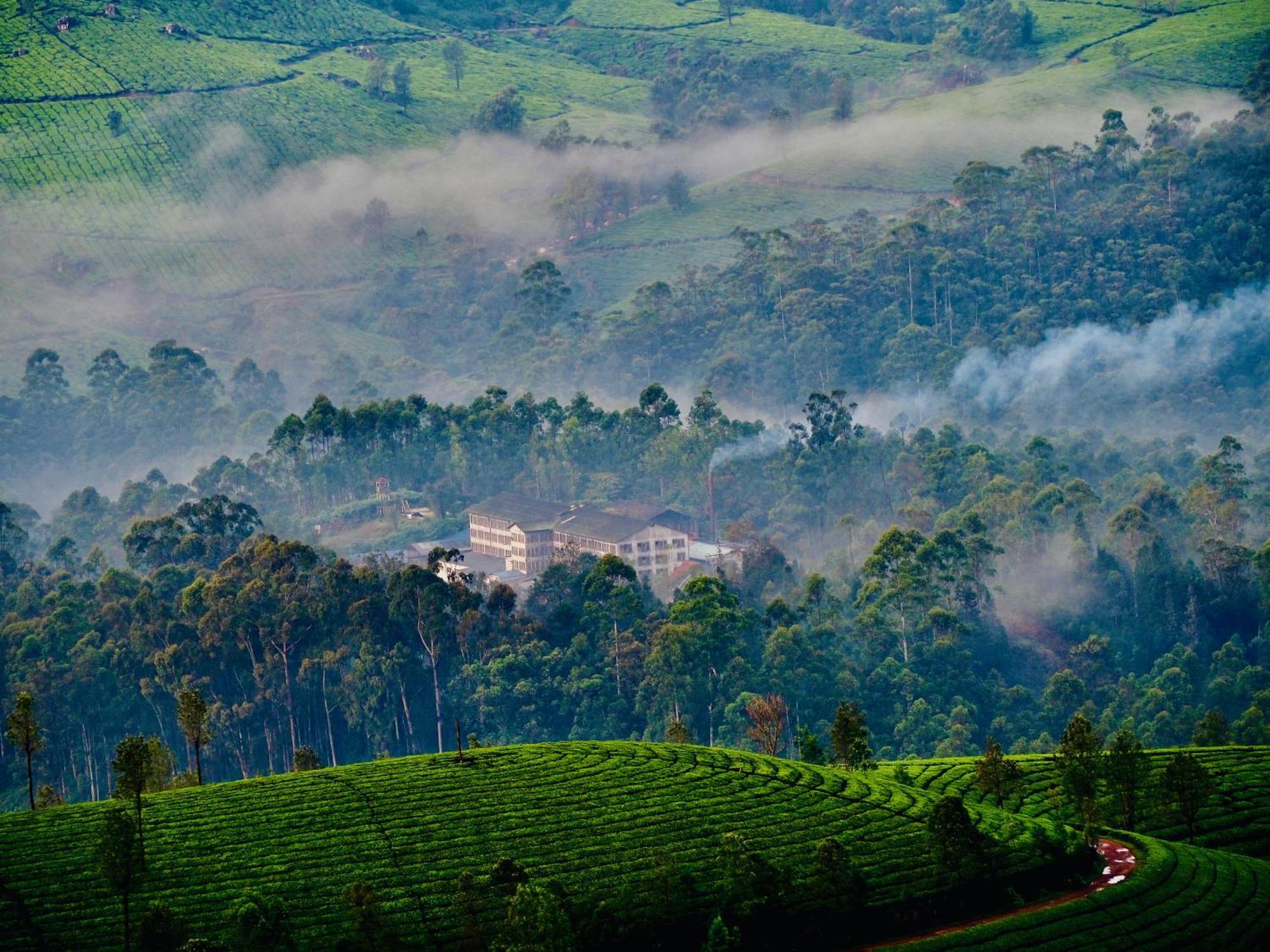 Lockhart Bungalow Munnar - A Cgh Earth Saha Experience Extérieur photo