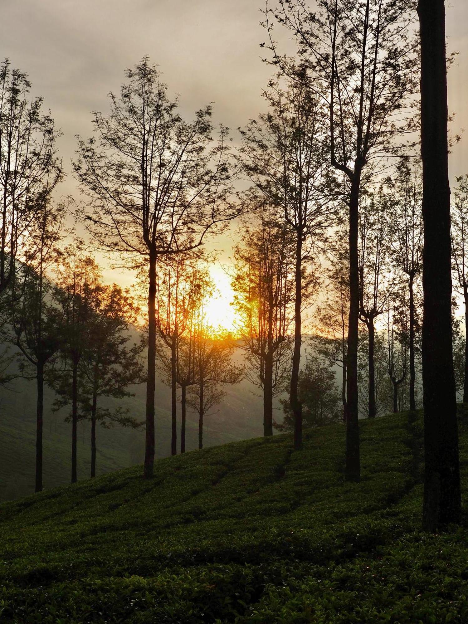 Lockhart Bungalow Munnar - A Cgh Earth Saha Experience Extérieur photo